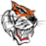 skrtcsr
