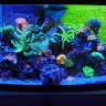 ReefKeeper09