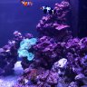 marine_science_addict