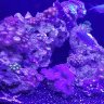 aquapod24