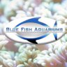 BlueFishAqua