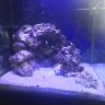 HomeReef