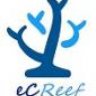 ecreef