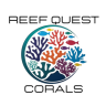 ReefQuestCorals
