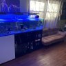 BlueGrass Reef