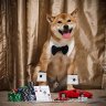 pokerdobe