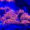 Keith_0011