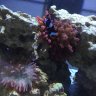 Cencalfishguy56