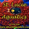 StLucieAquatics