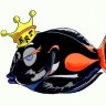 KingReefTank