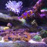 Vinnysg