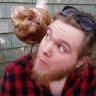 PlaidHero