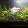 reef_life_novice