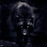 Animagus
