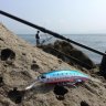 DrPterois
