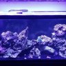 Reefkeeperfun