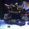 fishkeeper2