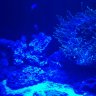 burden216