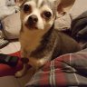 Rumplestilskin07