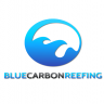 Blue Carbon Reefing