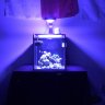 TyroAquaria
