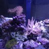 Lmdw121