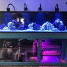 GeTanked