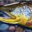 Bigtrout