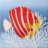 air_run