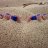 ToesInTheSand