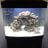 Andrew_3896