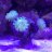 CoralFrenzy626