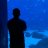 frogman213