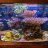 Saltywaterbox