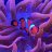 Oceanic_Gardens