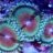 Bubbles_B