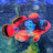 Sixdinnersquid