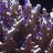 Ichtha_yo Stuff