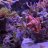 UnderwaterGamer