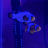 yoelf