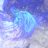 Blenny1988