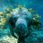 Oceanis
