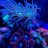 TheVinylReef