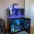 Townsaquaria