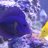 large_reef_in_stockh