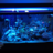 thinkclear_9