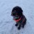 tottiforever