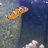 AwesomeAquatics