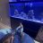 BrickReef95