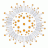 Coral Morphologic